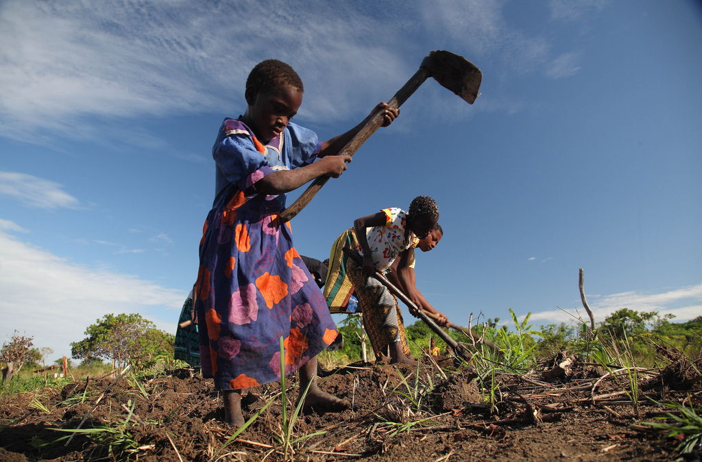 Women in agri-value chain finance