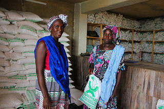 Greenfield microfinance – a business model for advancing financial inclusion in Sub-Saharan Africa?