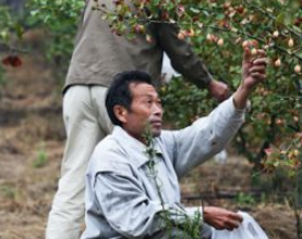 Financing Coffee Growers: Lessons from a Banking Partnership in Honduras 