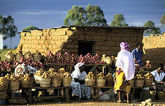 Credit Scoring & Data Innovation: Assessment tools for Financing Agriculture Businesses