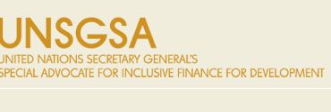 United Nations Special Advocate for Inclusive Finance for Development (UNSGSA)