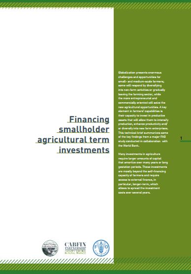 Financing smallholder agricultural term investments