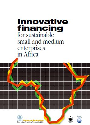 Innovative Financing For Sustainable Small And Medium Enterprises In 