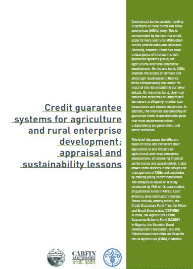 Credit guarantee systems for agriculture and rural enterprise development: appraisal and stability lessons