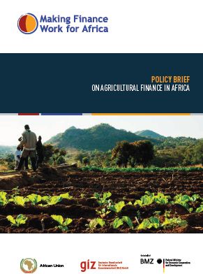 Policy Brief on Agricultural Finance in Africa