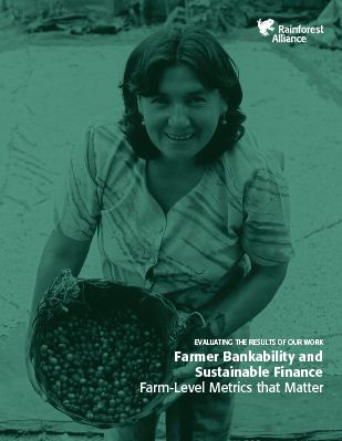 Farmer Bankability and Sustainable Finance: Farm-Level Metrics that Matter 