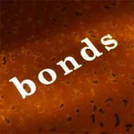 First women's bond from World Bank raises USD 165 million