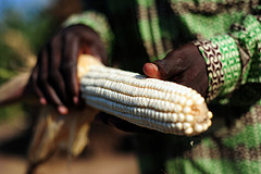 Andrew Stern from Dalberg discusses his report “Catalyzing Smallholder Agricultural Finance”