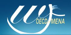 Exploring bank financing for women entrepreneurs in the MENA region: A preliminary analysis of survey data on the financing practices of MENA banks