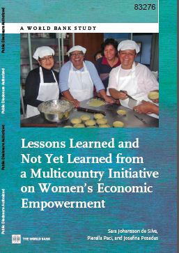 Lessons Learned and Not Yet Learned from a Multicountry Initiative on Women’s Economic Empowerment