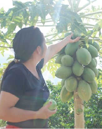 Making Women’s Work Visible: Finance for Rural Women in Latin America 