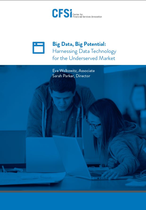 Big Data, Big Potential: Harnessing Data Technology for the Underserved Market