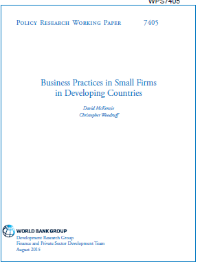 Business practices in small firms in developing countries