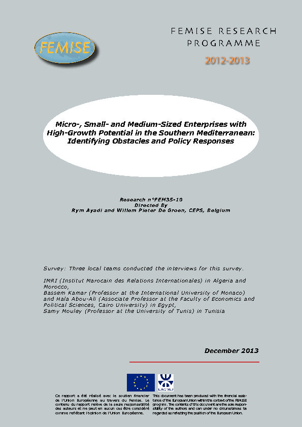 MSMEs with High-Growth Potential in the Southern Mediterranean: Identifying Obstacles and Policy Responses