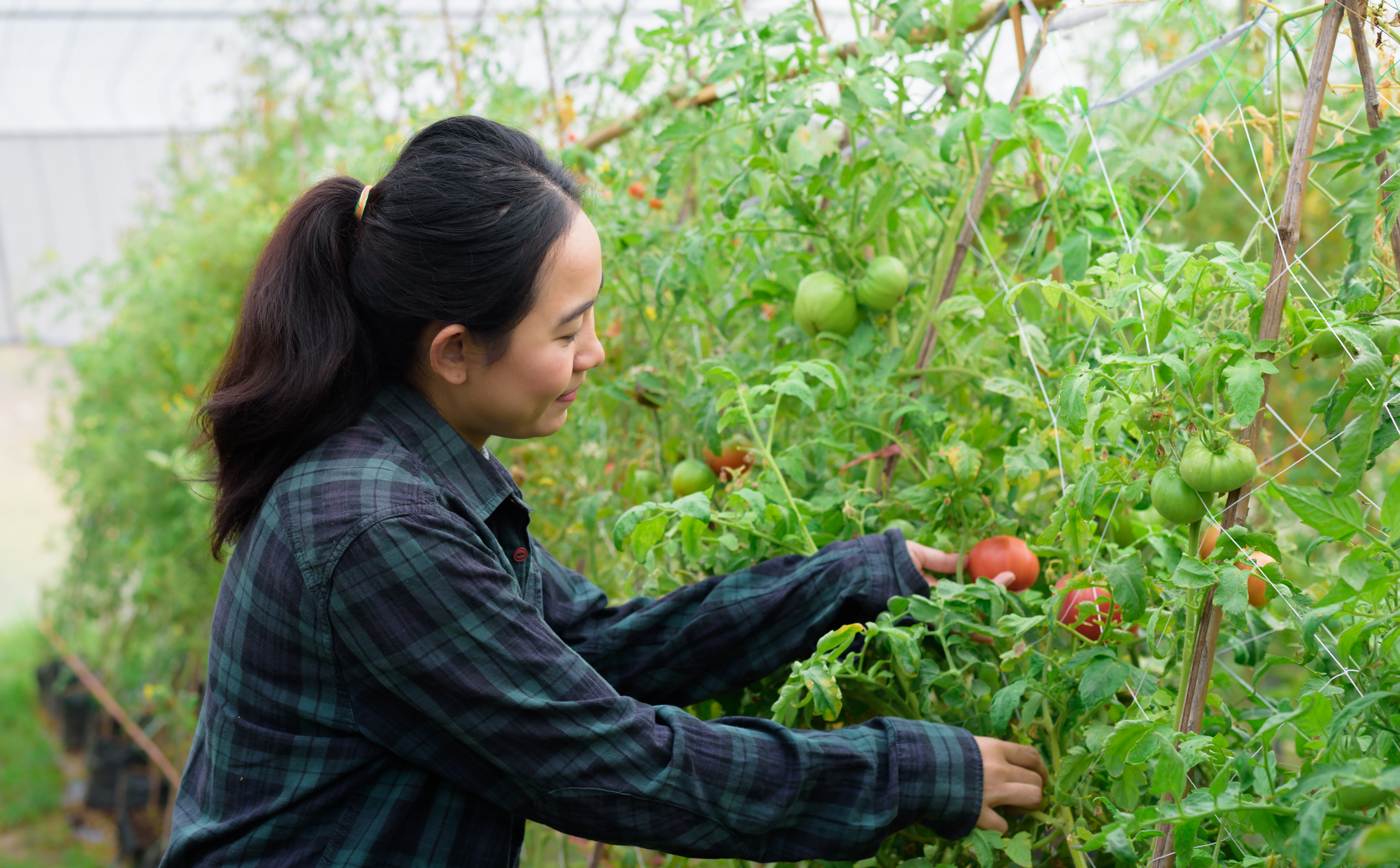 Harnessing Potential: The Asia-Pacific Alternative Finance Benchmarking Report