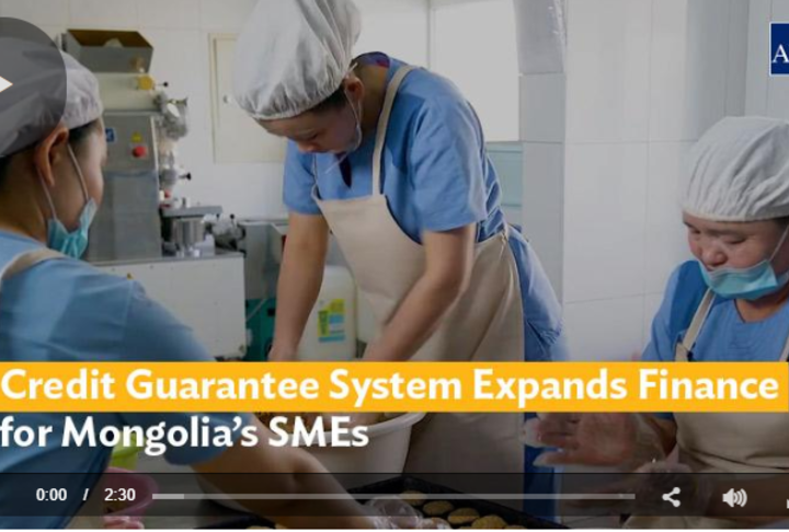 Credit Guarantee System Expands Finance for Mongolia’s SMEs