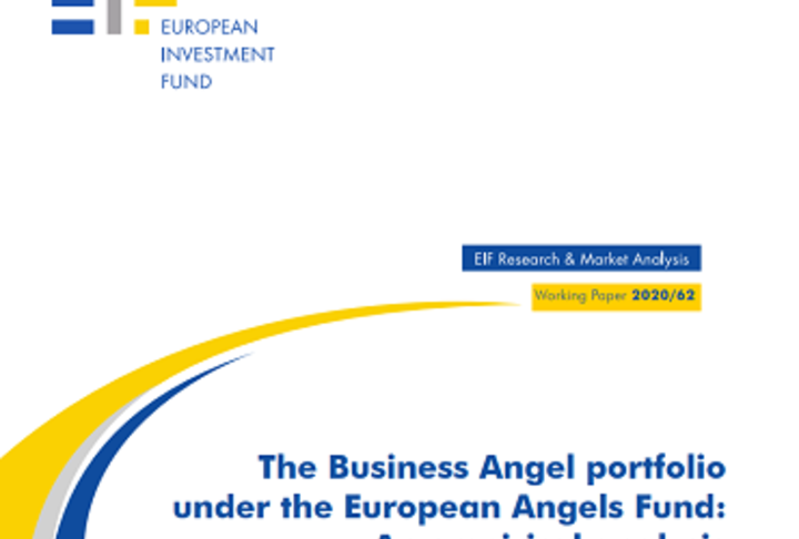 The Business Angel portfolio under the European Angels Fund: An empirical analysis