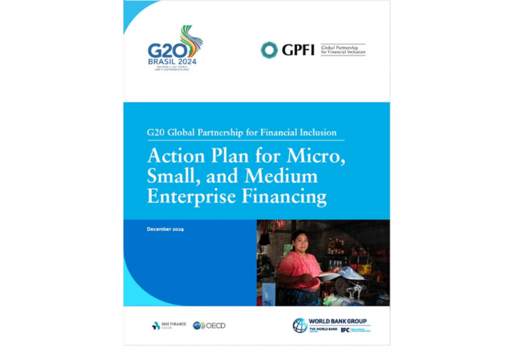 G20 Global Partnership for Financial Inclusion: Action Plan for MSME Financing