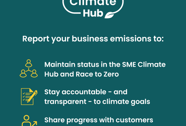 SME Climate Hub launches carbon emissions reporting tool for SMEs