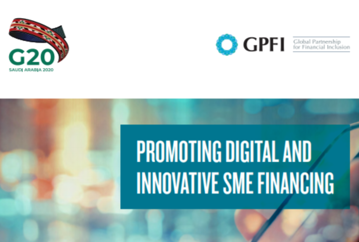 Promoting Digital and Innovative SME Financing - G20