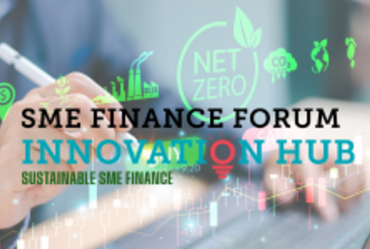 Sustainable SME Finance Innovation Hub