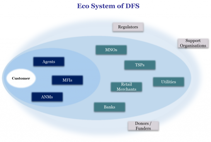 Responsible Digital Finance