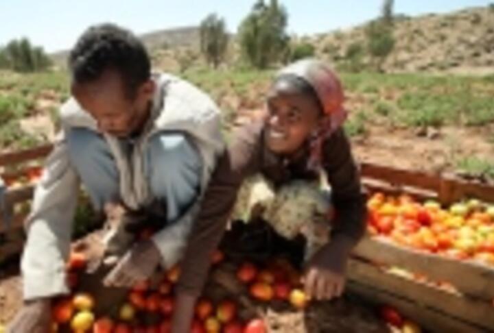 The Impact of Inclusion: CGAP Report looks at Recent Evidence of How Financial Inclusion Can Help the Poor The Impact of Inclusion: CGAP Report looks at Recent Evidence of How Financial Inclusion Can Help the Poor