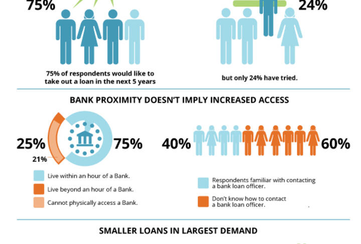 Access to Finance for Nigerian Agriculture-related Businesses - A USAID Development Credit Authority GeoPoll case study