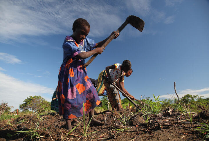 Women in agri-value chain finance