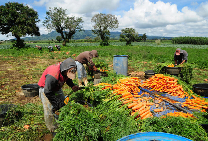 G20 Roundtable Highlights the Importance of Agricultural Finance