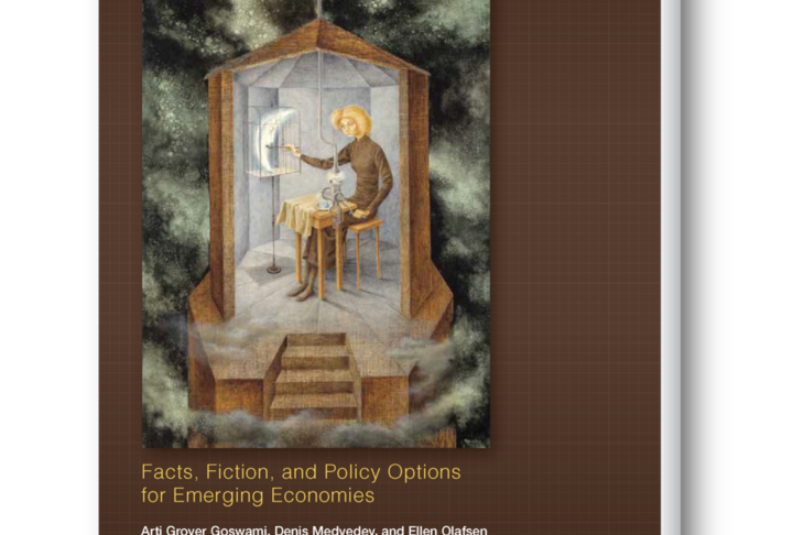 High-Growth Firms: Facts, Fiction, and Policy Options for Emerging Economies