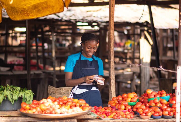 Call for Expression of Interest for the IFC Catalytic First Loss to support Climate, Agriculture, and Women MSMEs in Sub-Saharan Africa (‘SSA’) 