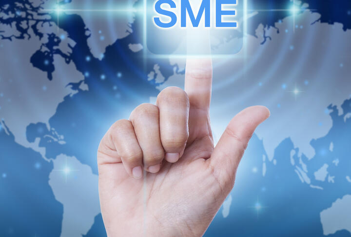 Access to Finance for MSMEs in Bosnia and Herzegovina with a Focus on Gender