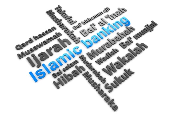 Islamic Banking Development and Access to Credit