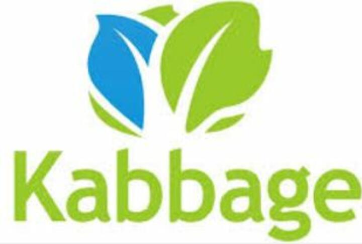 Kabbage: Small business financing in fewer than 7 minutes