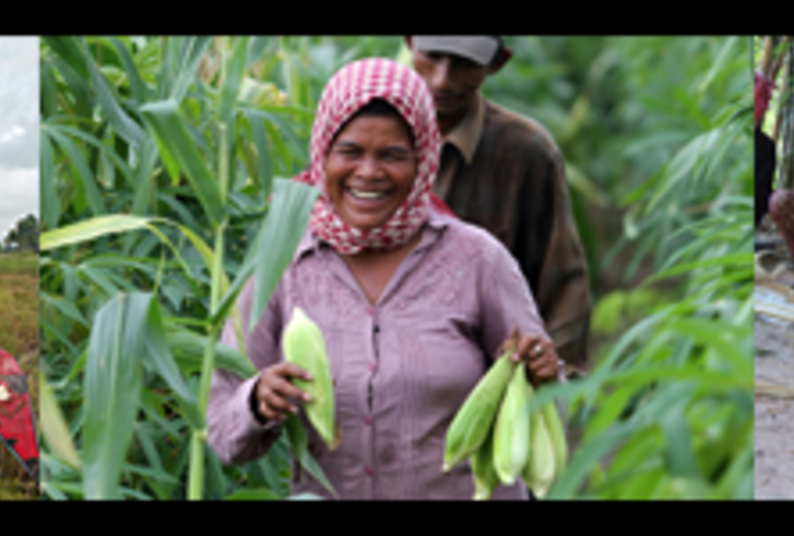 How can MFIs and banks better serve agricultural clients? 