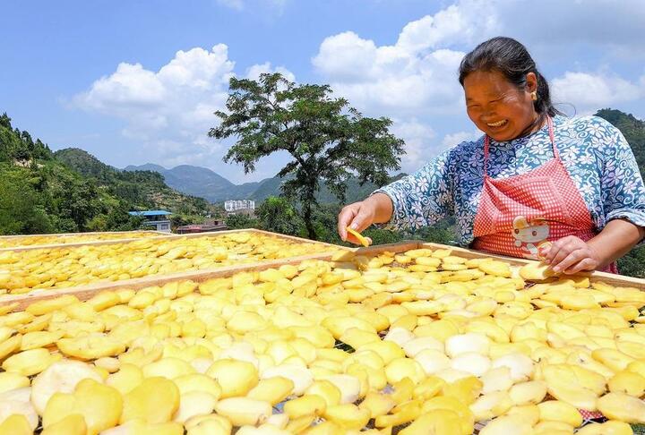 A farmer spreads chopped potatoes to dry at Fengjie County in China's Chongqing. Mobile banking has revolutionized the way farmers and small businesses operate.   © Getty Images