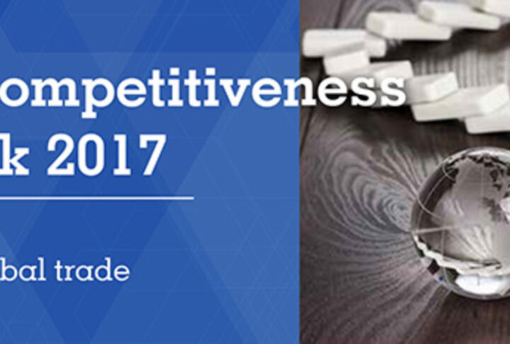 SME Competitiveness Outlook 2017