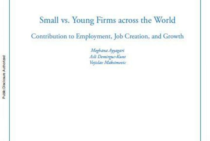 Small vs. Young Firms Across the World : Contribution to Employment, Job Creation, and Growth 