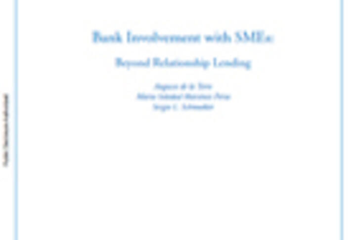 Bank involvement with SMEs: Beyond relationship lending