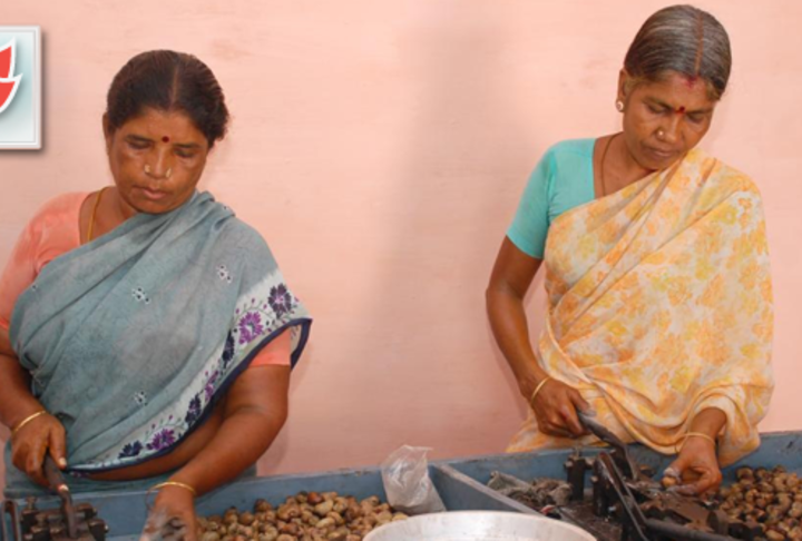 Women’s leadership in small and medium enterprises