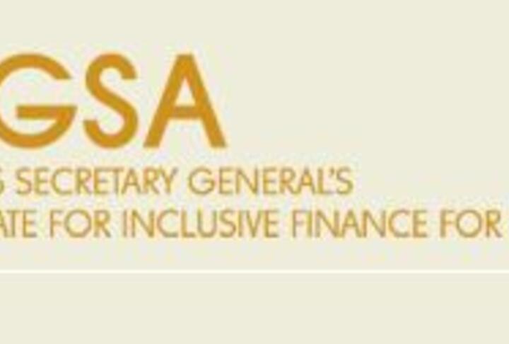 United Nations Special Advocate for Inclusive Finance for Development (UNSGSA)