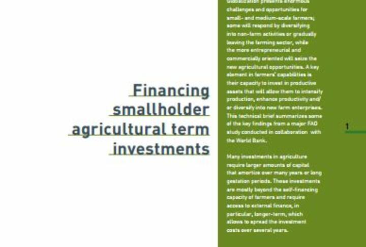 Financing smallholder agricultural term investments