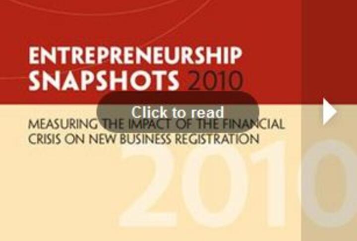 2010 World Bank Entrepreneurship Snapshots (WBGES)