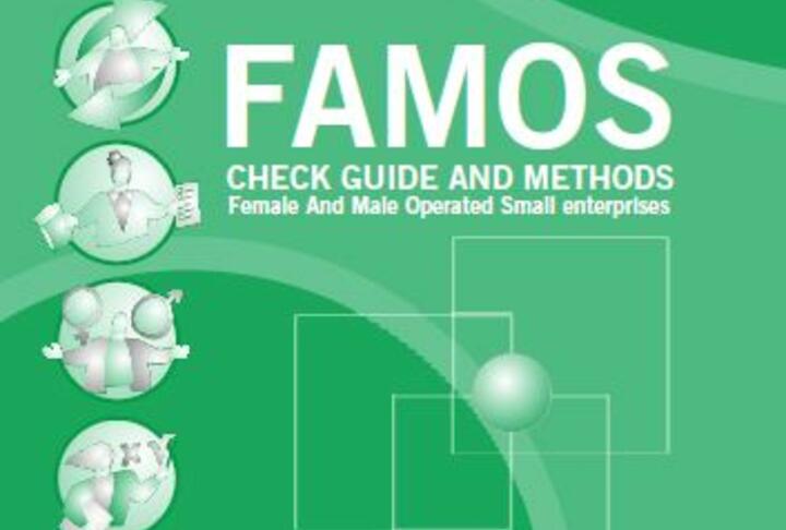 FAMOS check (internal gender check for financial and non financial service providers)