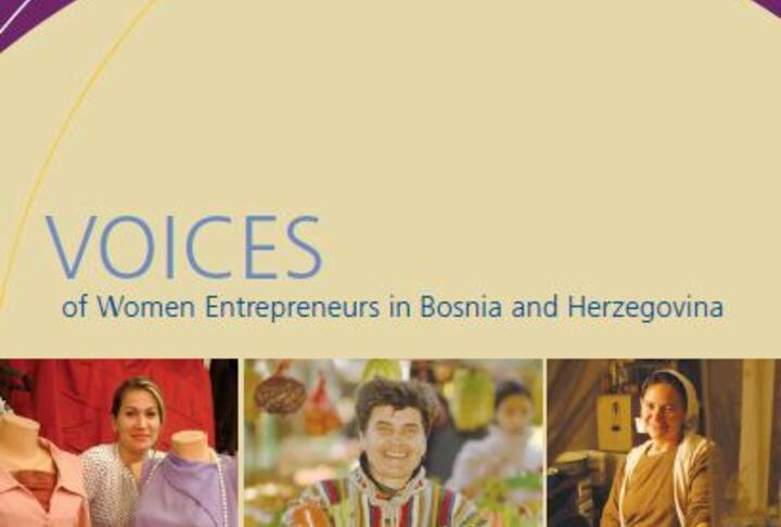 Voices of Women Entrepreneurs in Bosnia and Herzegovina