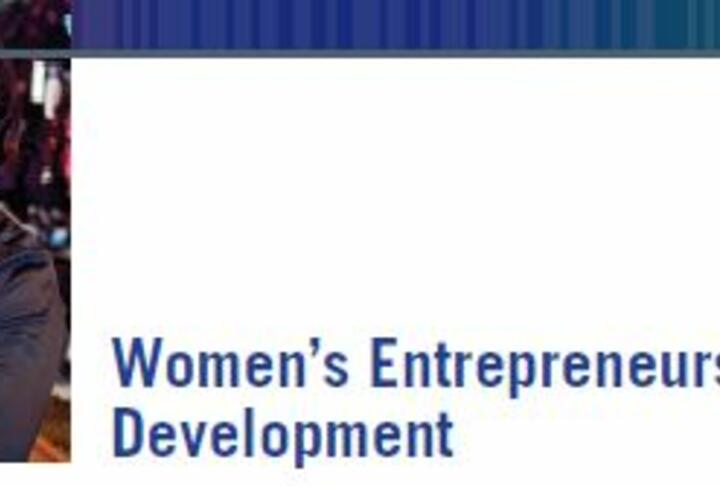 Women’s Entrepreneurship Development Factsheet