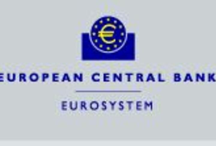 Survey on the access to finance of SMEs in the euro area – October 2012 to March 2013