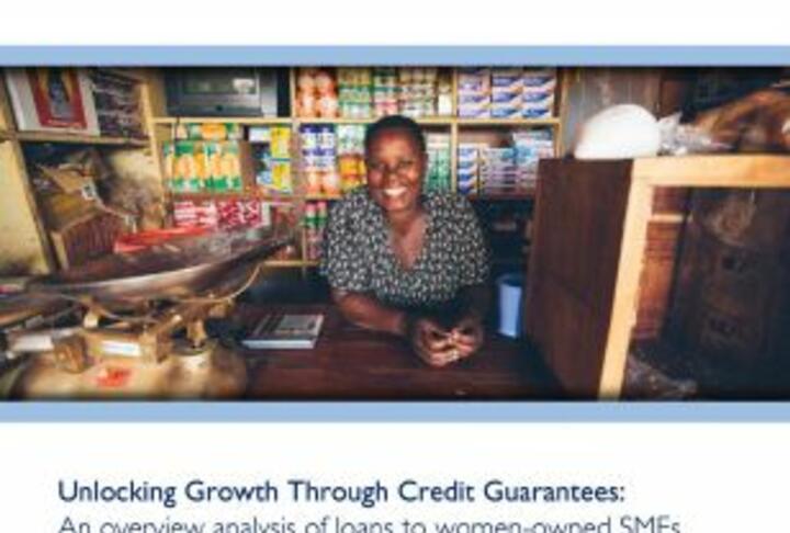 Unlocking Growth Through Credit Guarantees: An overview analysis of loans to women-owned SMEs