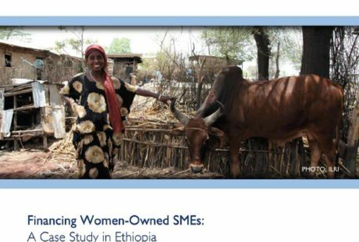 Financing Women-Owned SMEs: A Case Study in Ethiopia